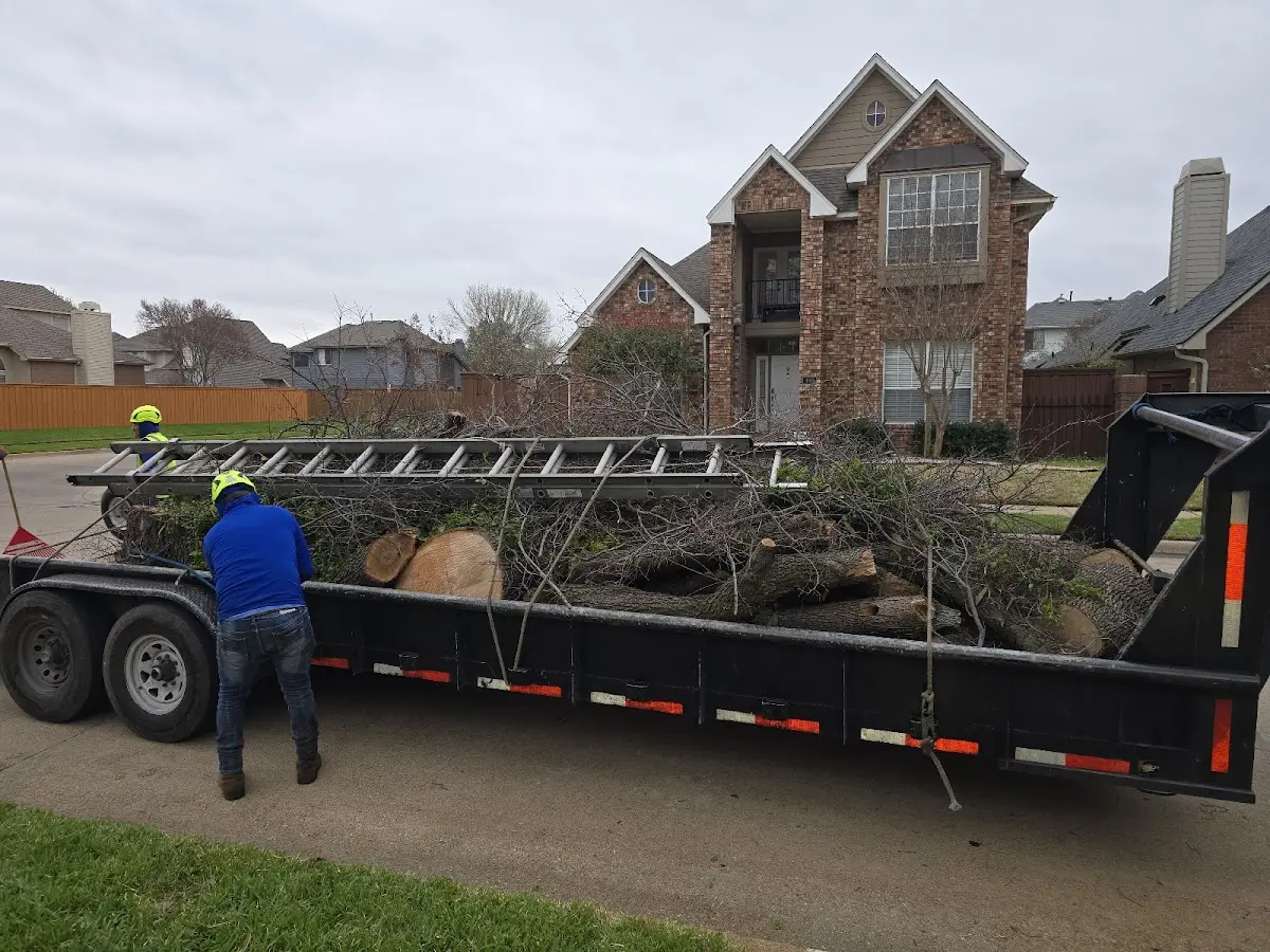 Expert Tree Fertilization with proper safety equipment in Bainbridge Island